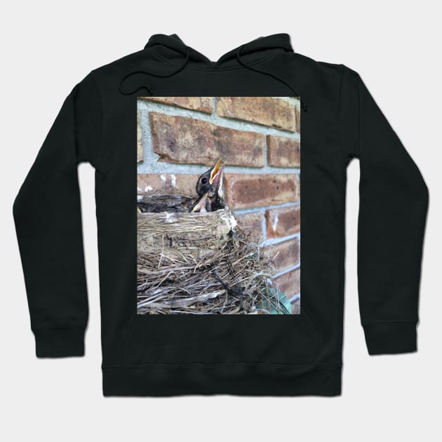 Peaking Out the Nest Hoodie by yodelbat